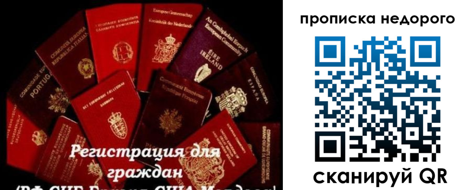 временная регистрация недорого в Струнино